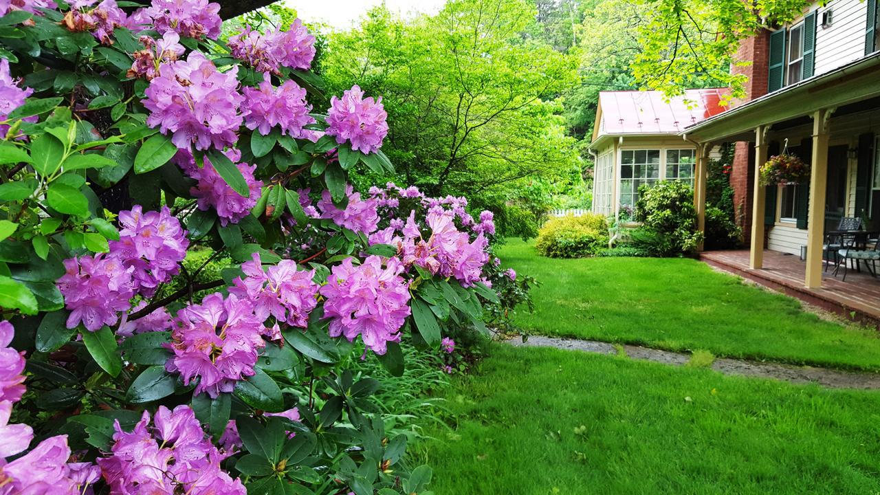 Hummingbird Inn Goshen Екстер'єр фото
